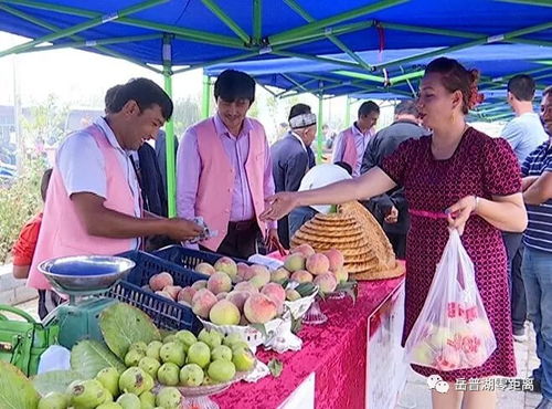 農(nóng)副產(chǎn)品促銷會 打通產(chǎn)銷對接，助力脫貧攻堅的堅實橋梁