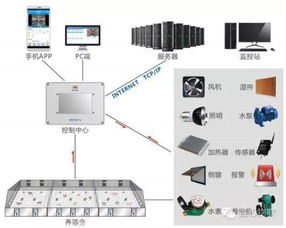 全面賦能 RFID解決方案中心引領(lǐng)物聯(lián)網(wǎng)時代核心應(yīng)用